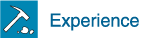 Experience
